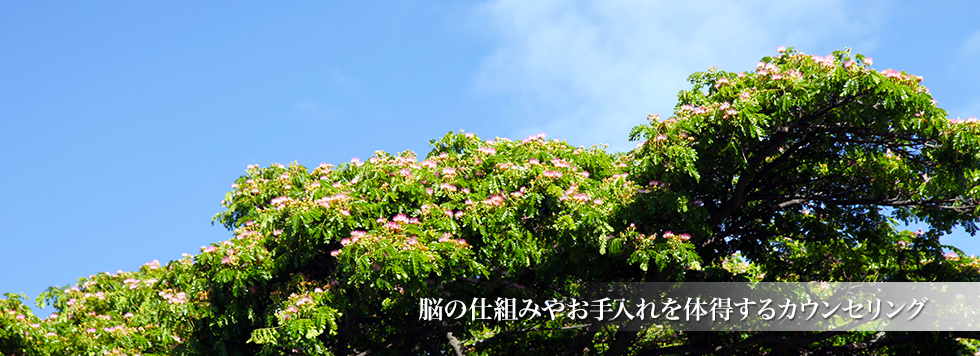 脳の仕組みやお手入れを体得するカウンセリング