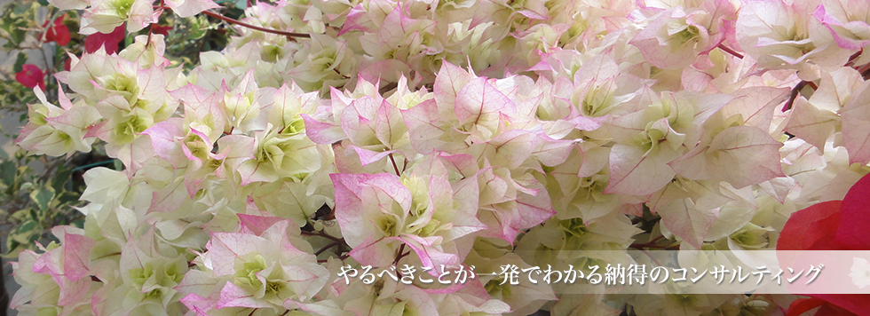 やるべきことが一発でわかる納得のコンサルティング